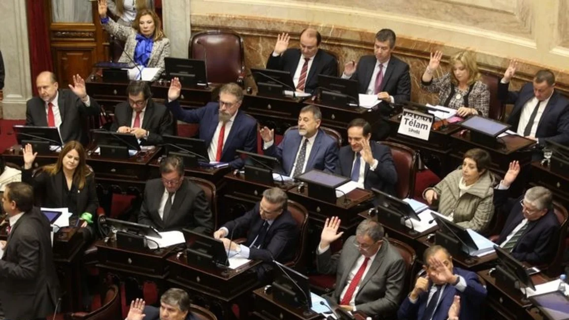 Presión sobre el Senado con una marcha al Congreso Nacional