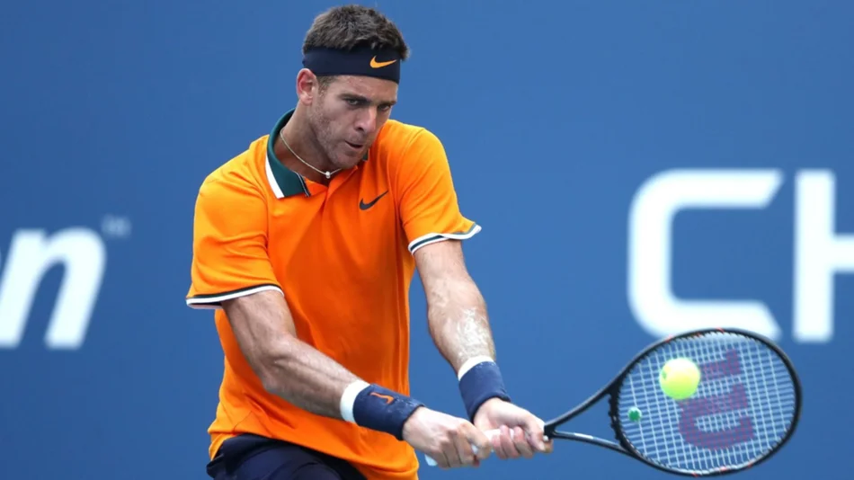Del Potro avanza a paso firme en EEUU
