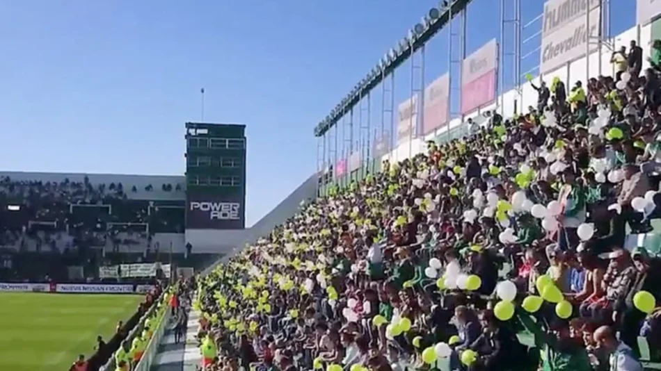 Partidos sin alambrados, casi como estar dentro de la cancha
