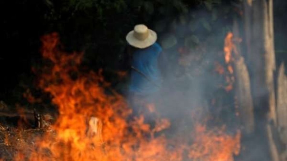 Clamor por los incendios en el Amazonas: imágenes que estremecen 
