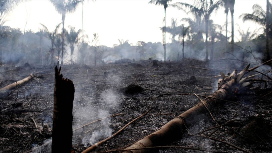 "Nos enfrentamos a un escenario apocalíptico", dijo una activista de Alianza por el Clima