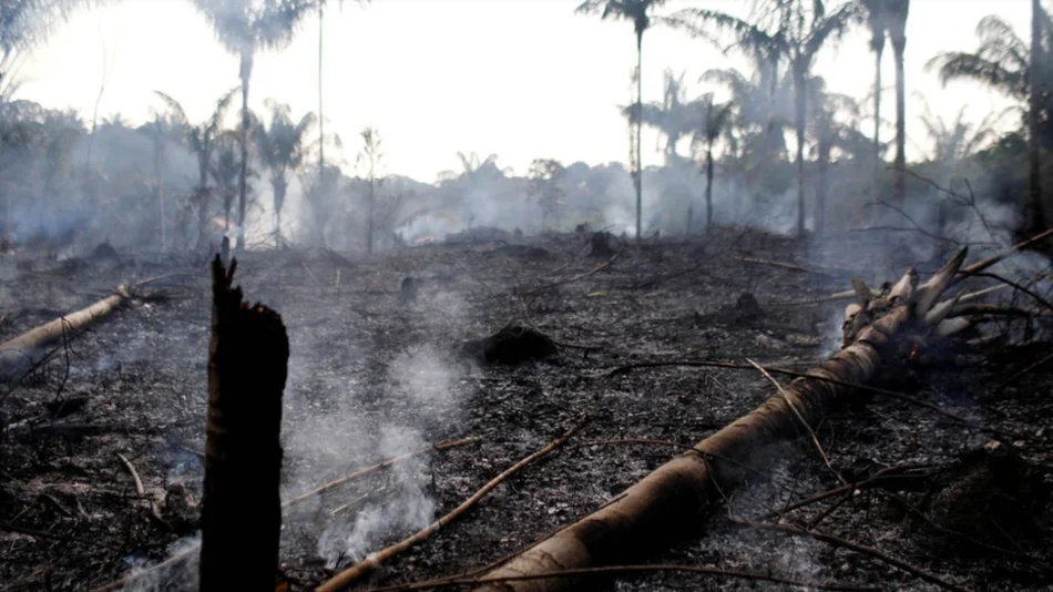 "Nos enfrentamos a un escenario apocalíptico", dijo una activista de Alianza por el Clima