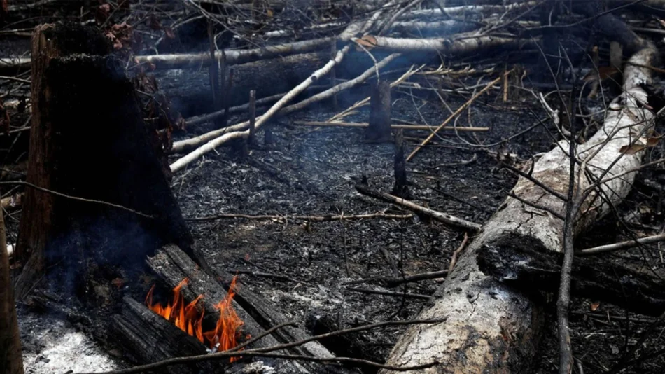 Cuál es la principal causa de los incendios en la Amazonía