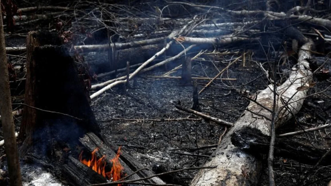 Brasil rechazó la ayuda del G7 para frenar los incendios en el Amazonas