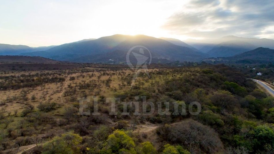 Los "cholonkas" colocan carteles para prohibir el paso en tierras del Estado
