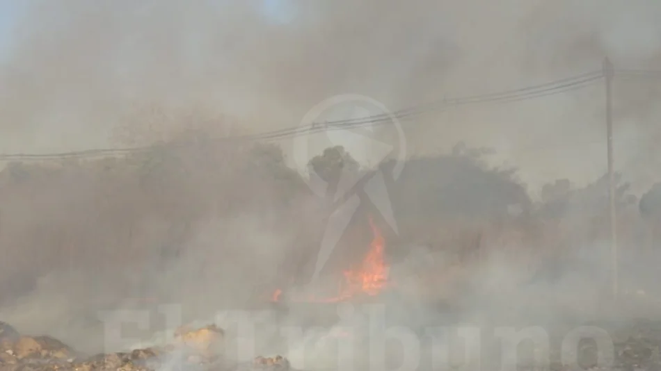 Intensa humareda por quema de pastizales en zona sur