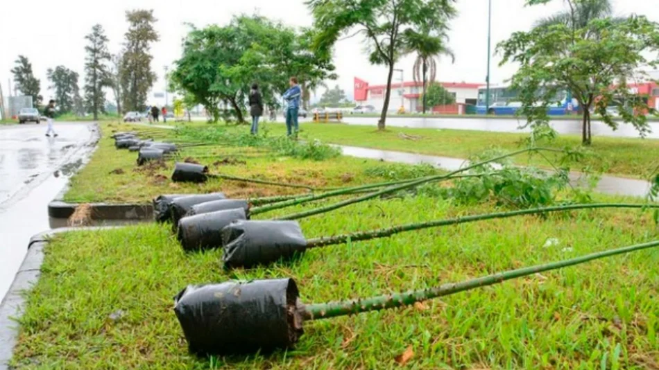 Más de 30 intendentes se comprometerán a plantar árboles en sus municipios