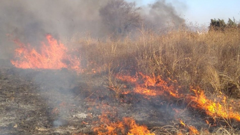 VIDEO. Incendio de pastizales casi llega a las casas en zona sur