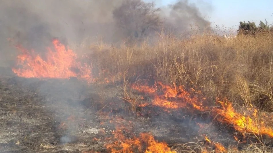 VIDEO. Incendio de pastizales casi llega a las casas en zona sur