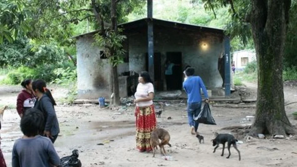 Indígenas ya utilizan miel y "yuyos" del monte para afrontar el COVID-19