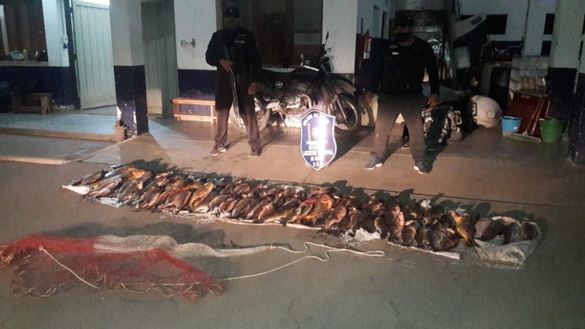  Cruel y absurda depredación de peces en el río Dorado