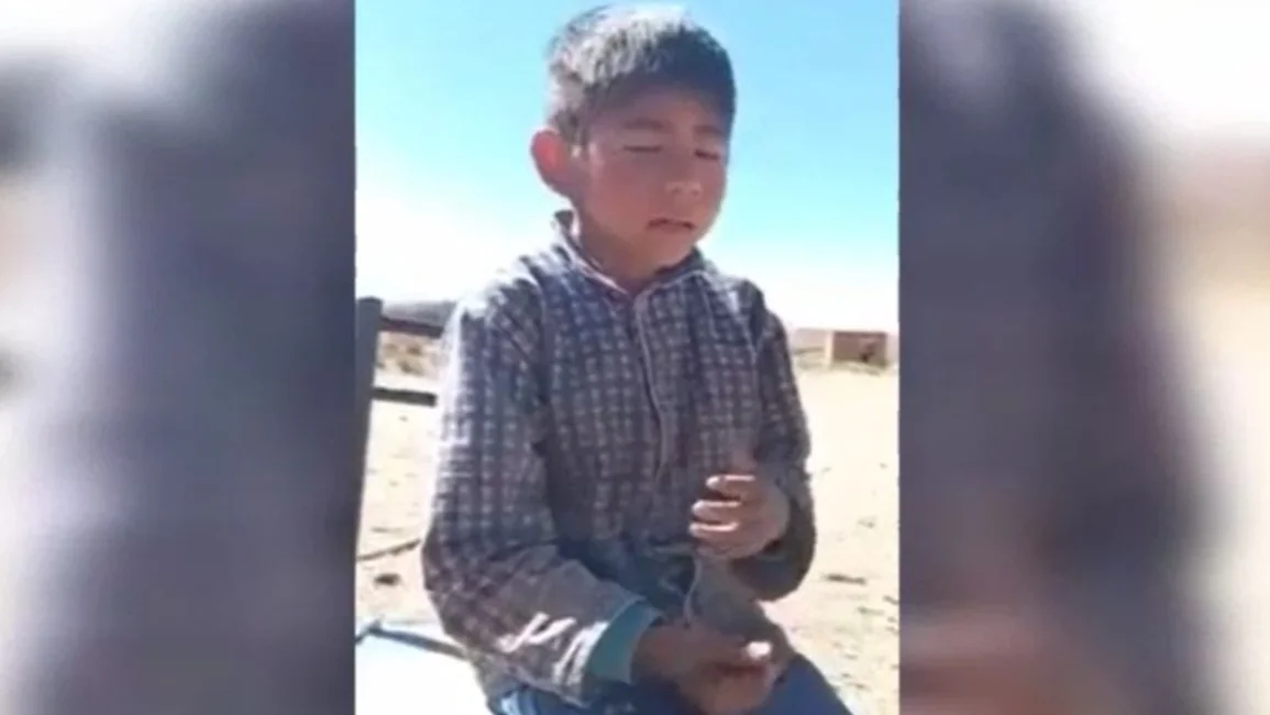 VIDEO. Conocé a Gastón, el niño que canta entre los cerros y sueña con una guitarra