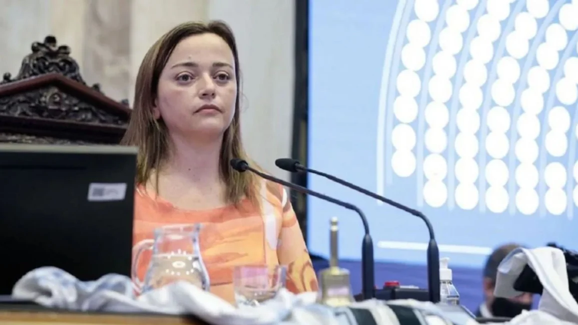 Cecilia Moreau asumió como la primera mujer presidenta de Diputados, sin el respaldo de JxC