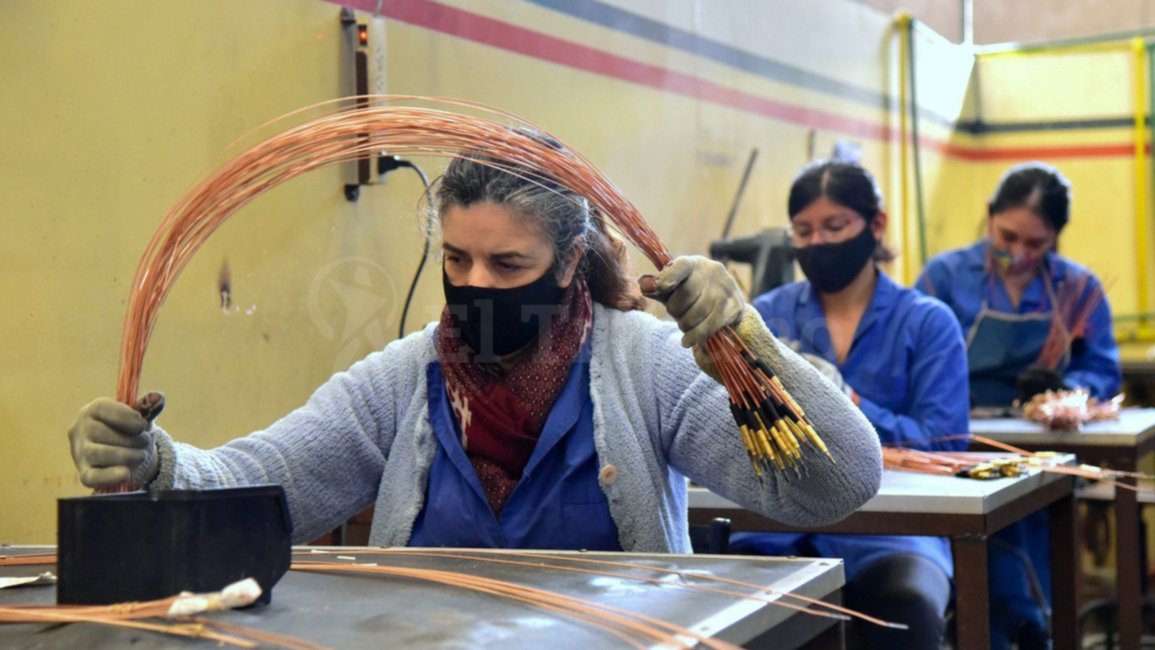 Plan Puente al Empleo: Piden impedir a los “nuevos” trabajadores retomar el plan social