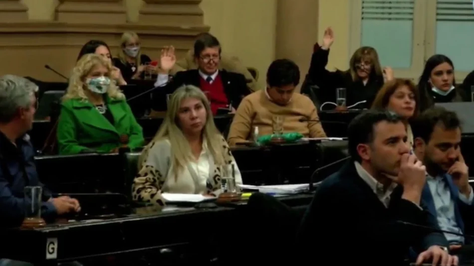 Diputados dio media sanción al proyecto para suspender las PASO