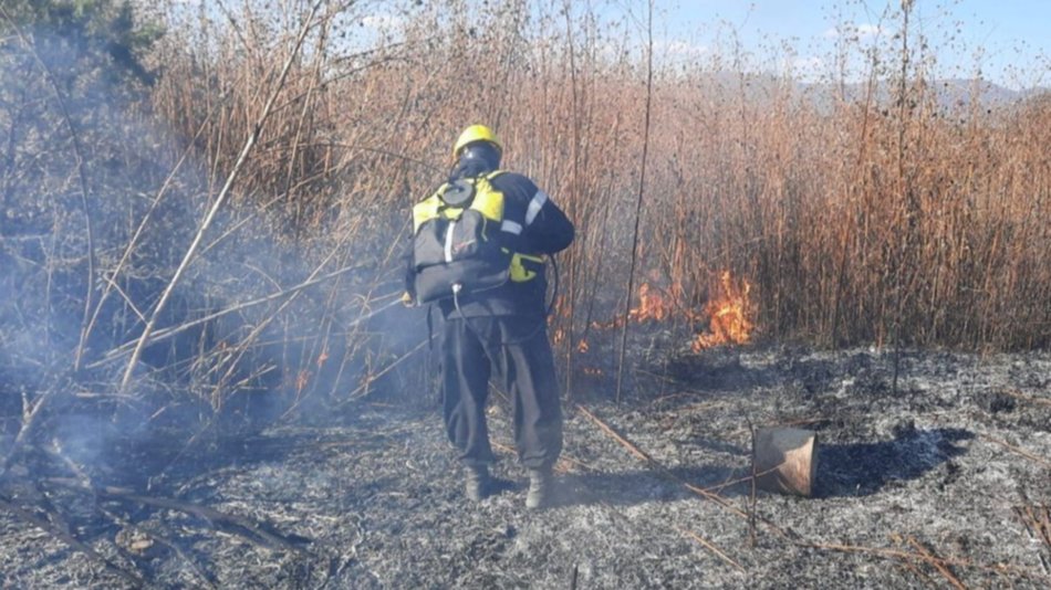 Un incendio de pastizales causó alerta en zona sur
