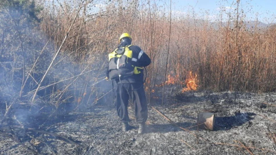 Un incendio de pastizales causó alerta en zona sur