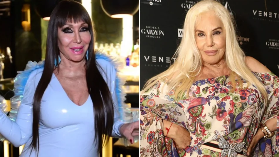 VIDEO Dos grandes divas enfrentadas por la política a días de las PASO 2023
