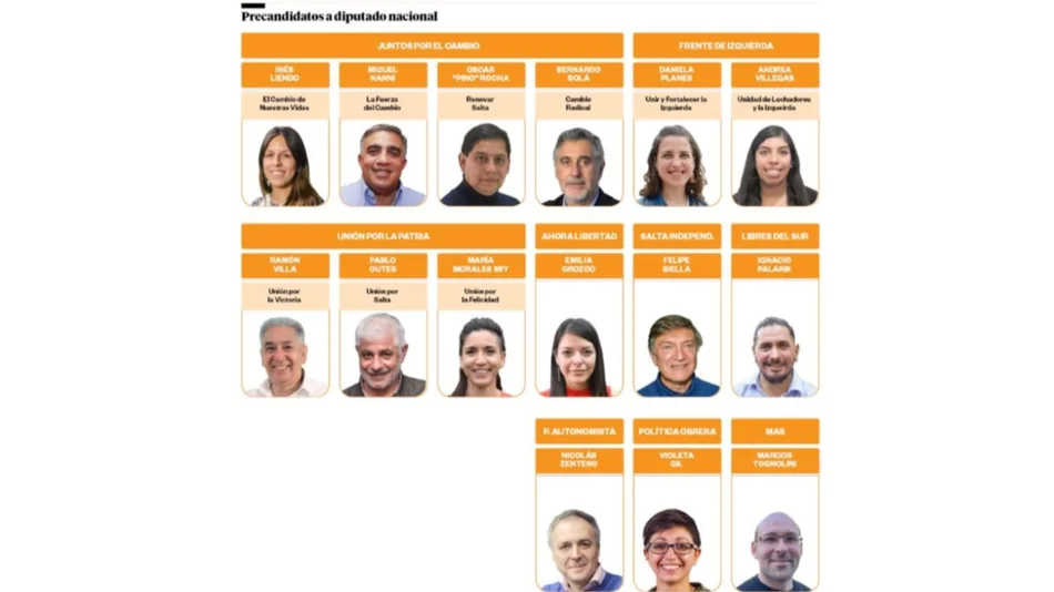 Quince boletas con precandidatos a diputados nacionales