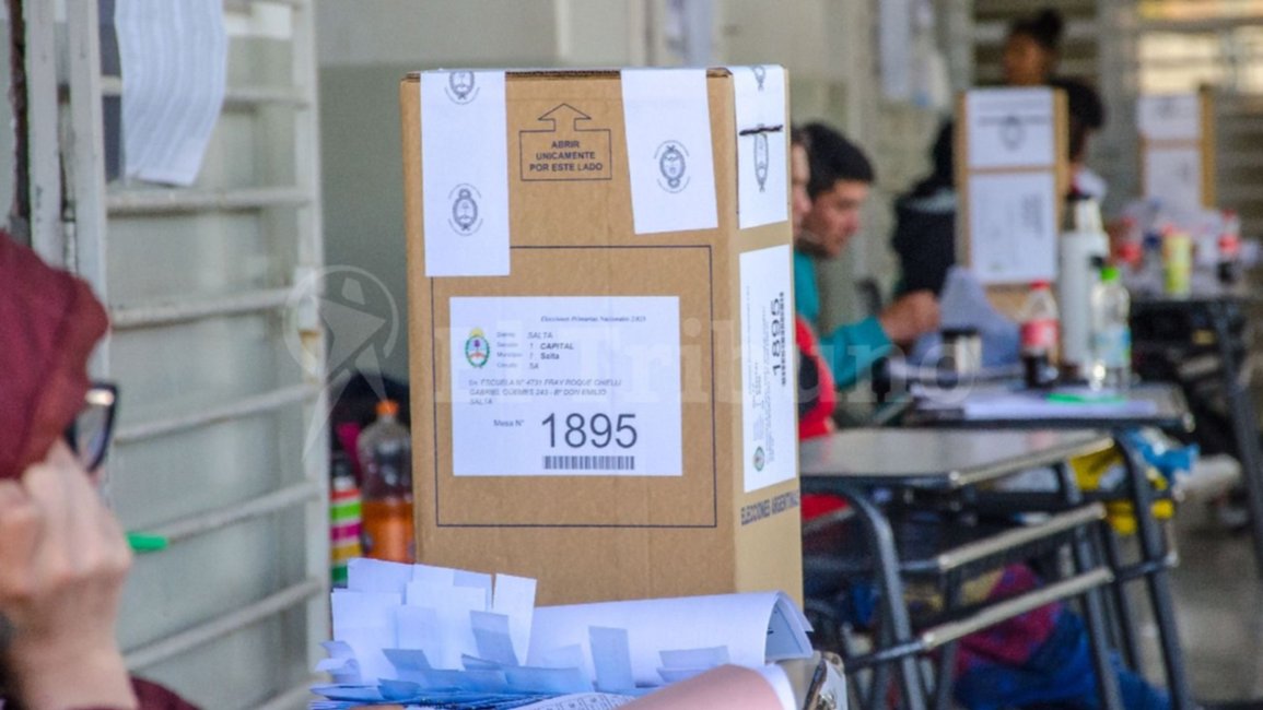 Elecciones 2023: qué pasa si no me presenté a votar en las PASO