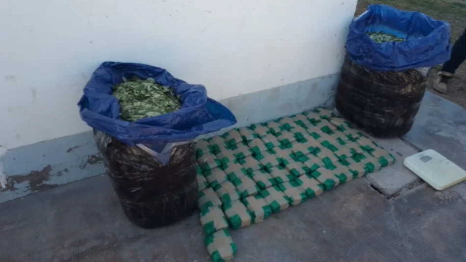 Cafayate: Secuestraron más de 55 kilos de hojas de coca