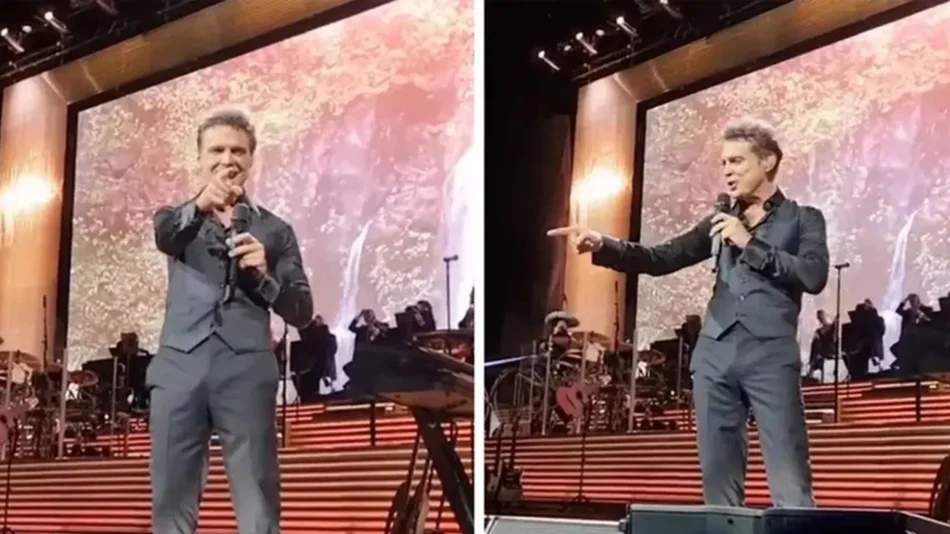 Una mujer sacó un anillo y le pidió casamiento a Luis Miguel en medio del show 
