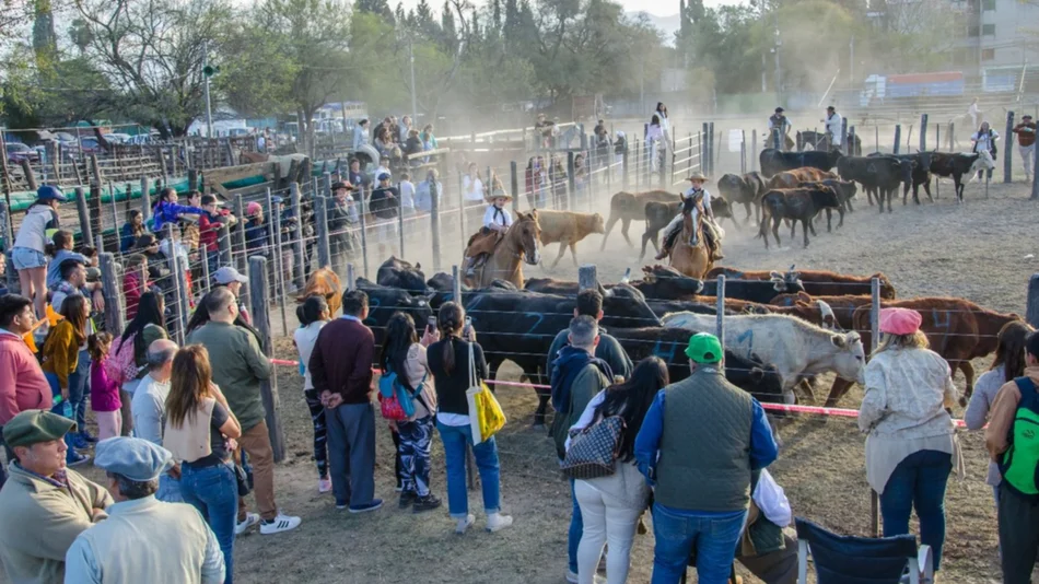 La muestra 2023 de la Rural, con todo el campo a la vista