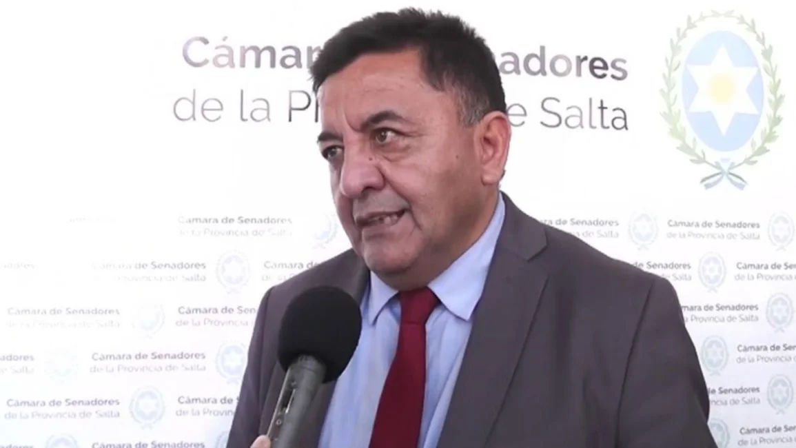 Ramos señaló que hay cambios "llamativos" de domicilio a la hora de designar docentes