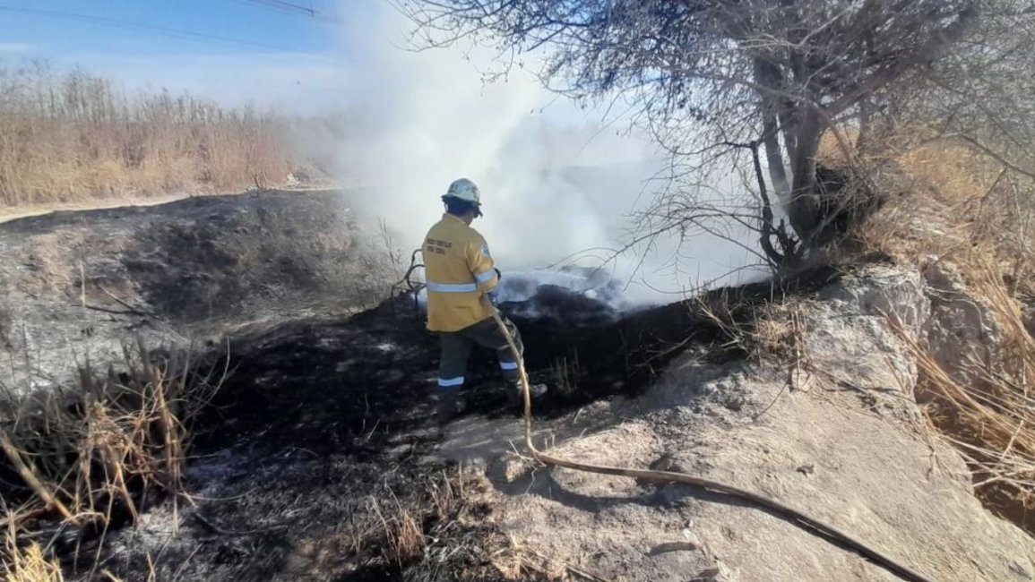 Clima en Salta: alerta por riesgo extremo de incendios forestales y llaman a extremar precauciones 