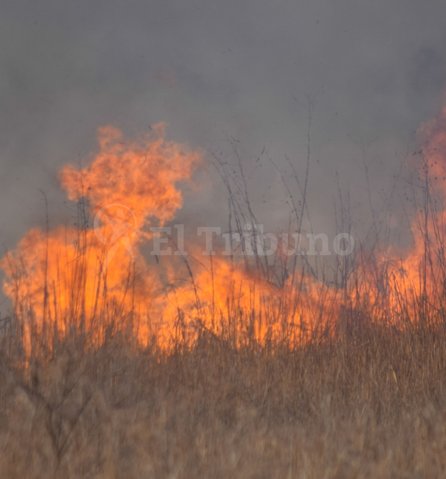 Tierra arrasada por los incendios y los vientos en Salta