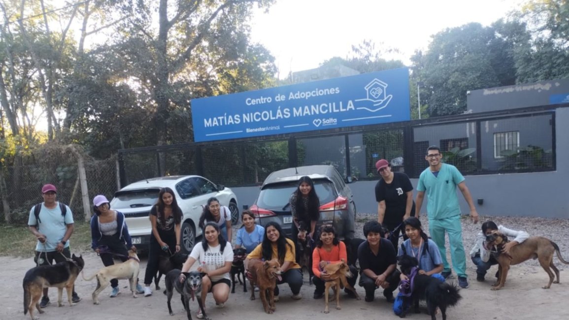 San Roque: habrá una procesión de perros y se podrá adoptarlos