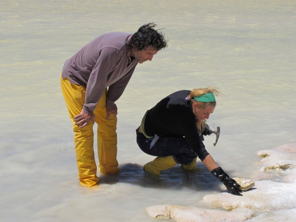 Un tesoro de vida arcaica en espejos de agua de Tolar Grande y Socompa- Un tesoro de vida arcaica en espejos de agua de Tolar Grande y Socompa