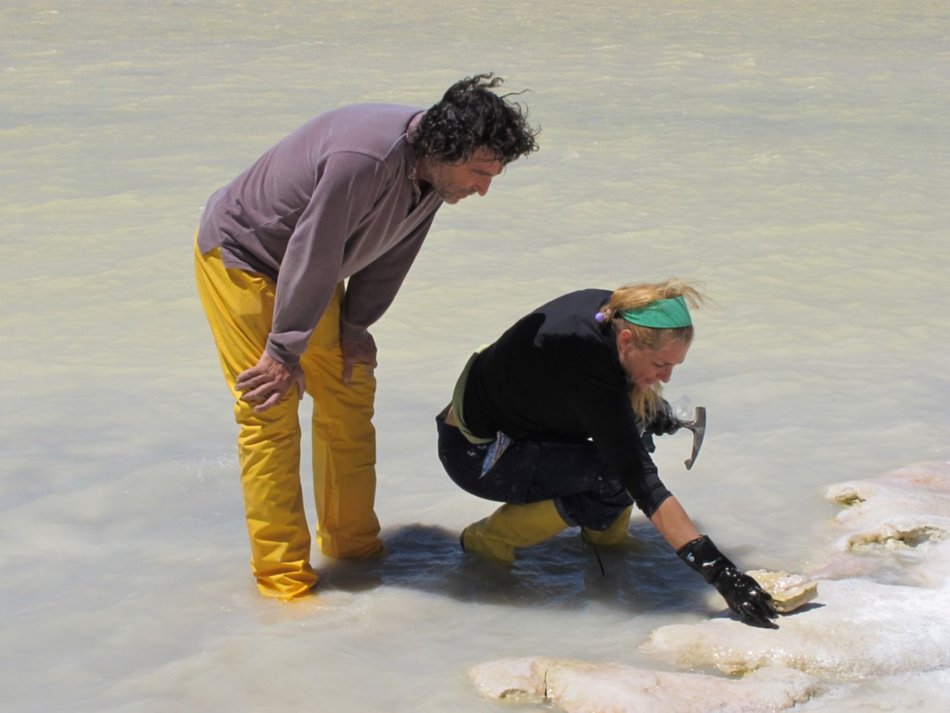 Un tesoro de vida arcaica en espejos de agua de Tolar Grande y Socompa