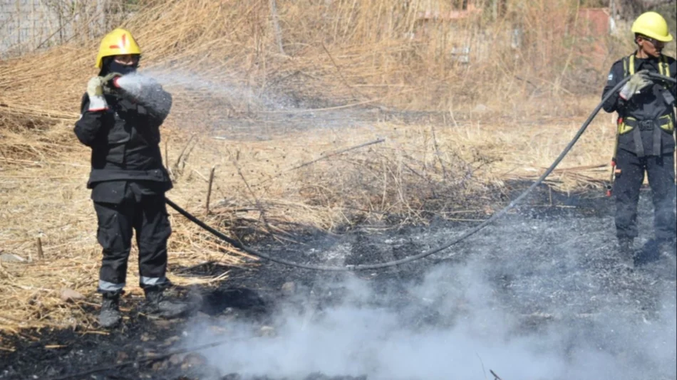 VIDEO. Rápido accionar para sofocar un incendio de pastizales en zona sur