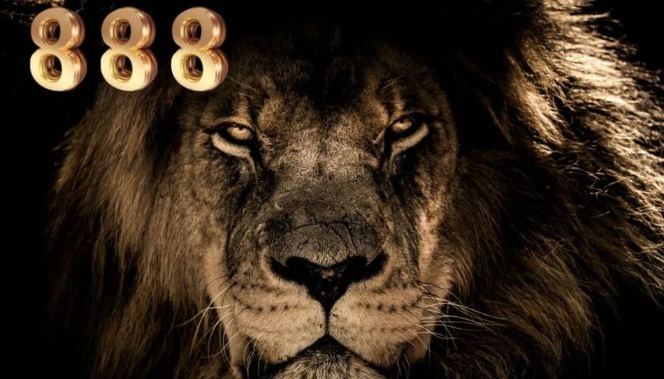 El Portal del León 8/8: en el camino del infinito es el momento de manifestar los deseos- El Portal del León 8/8: en el camino del infinito es el momento de manifestar los deseos