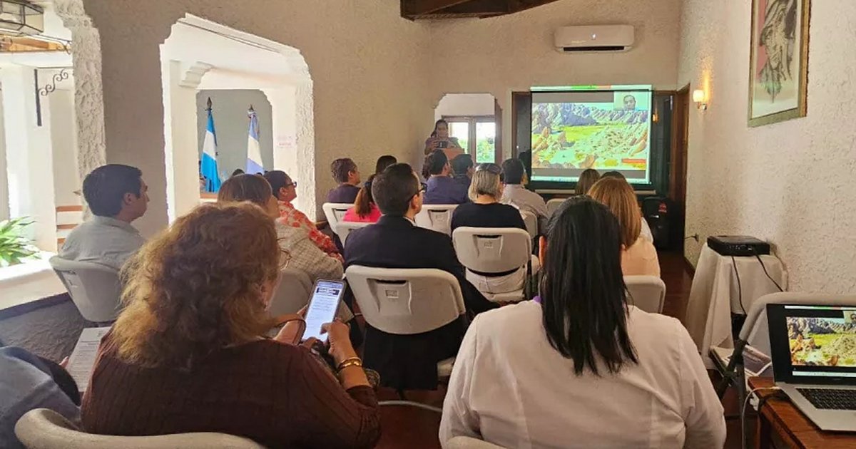 El enoturismo salteño, en la ruta aérea Salta