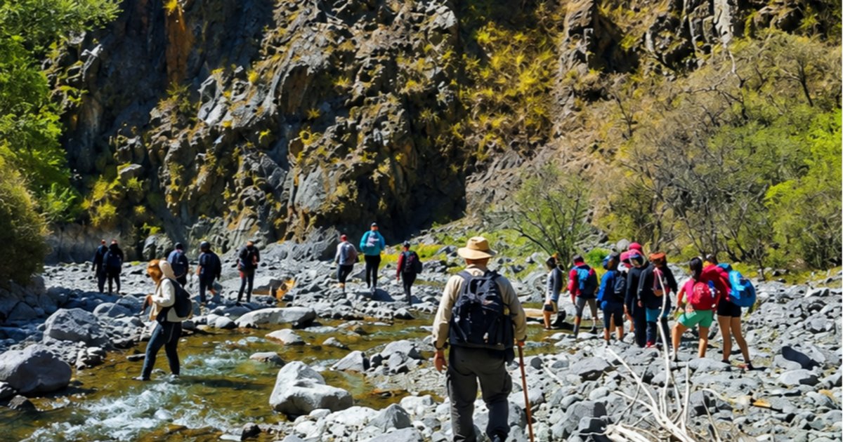Proponen un trekking gratuito por el mágico Bosque de Arrayanes