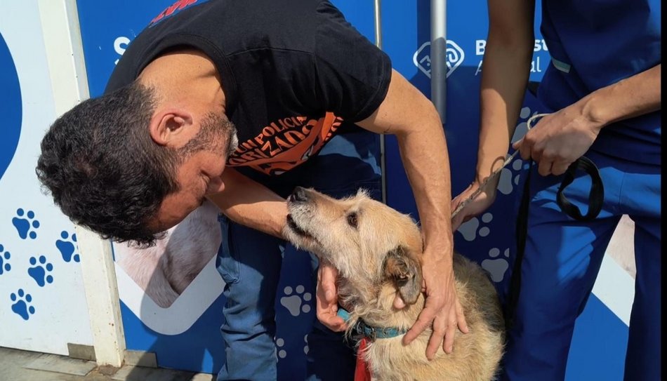 Durand confirmó que la iniciativa contra el maltrato animal se llamará "Ley Lola"