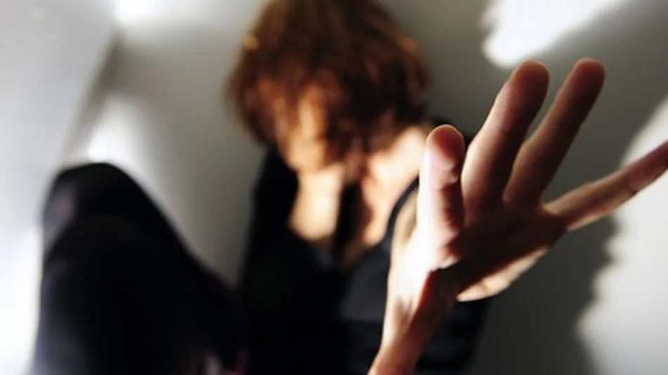 En lo que va del año ingresaron 8400 causas de violencia doméstica