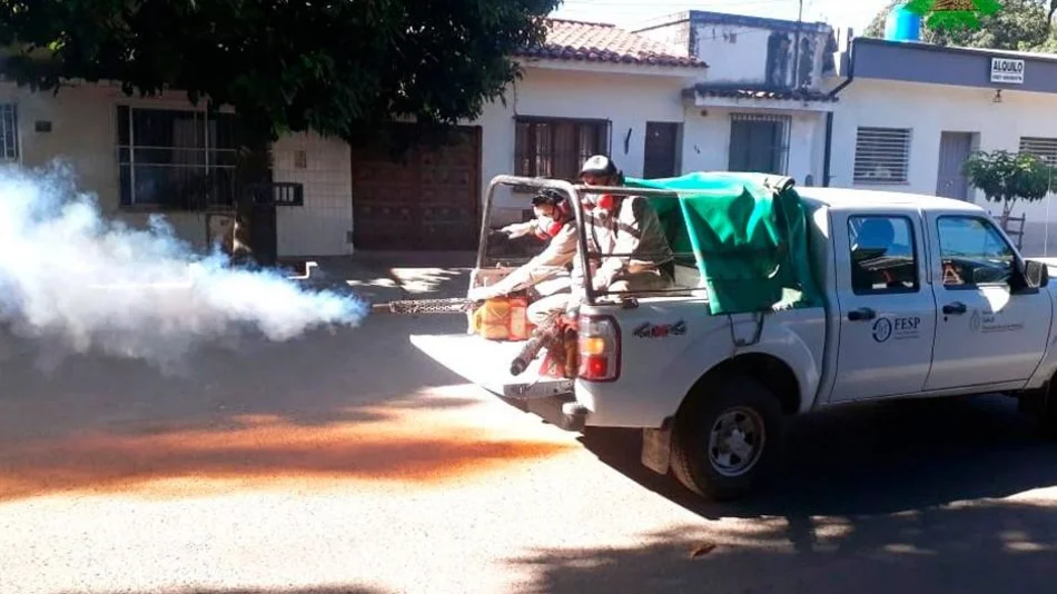 Fumigar, la medida  cuando ya todo fracasó