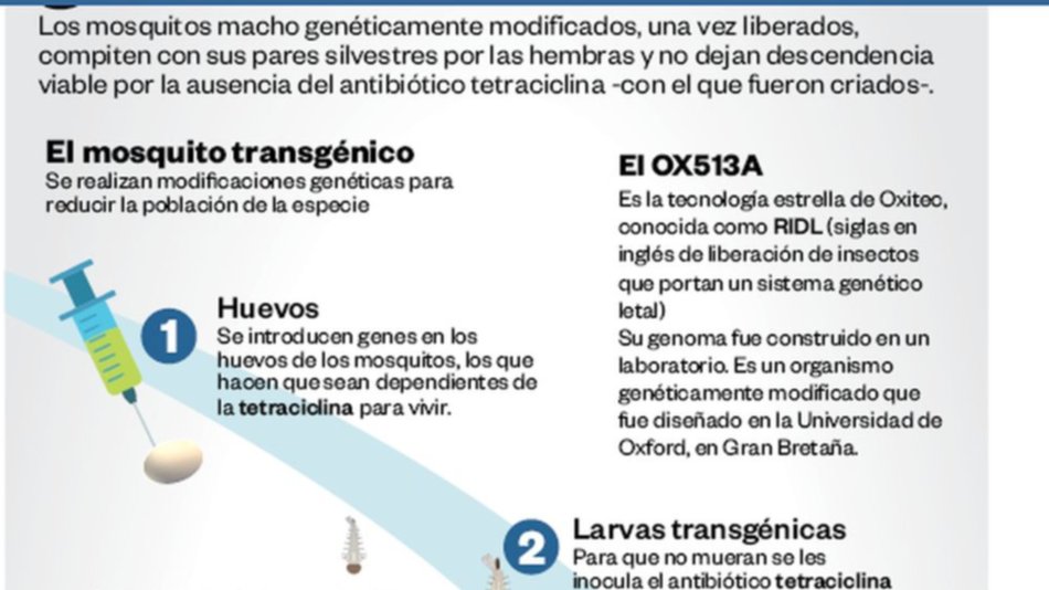 Dudas sobre el uso del  mosquito modificado