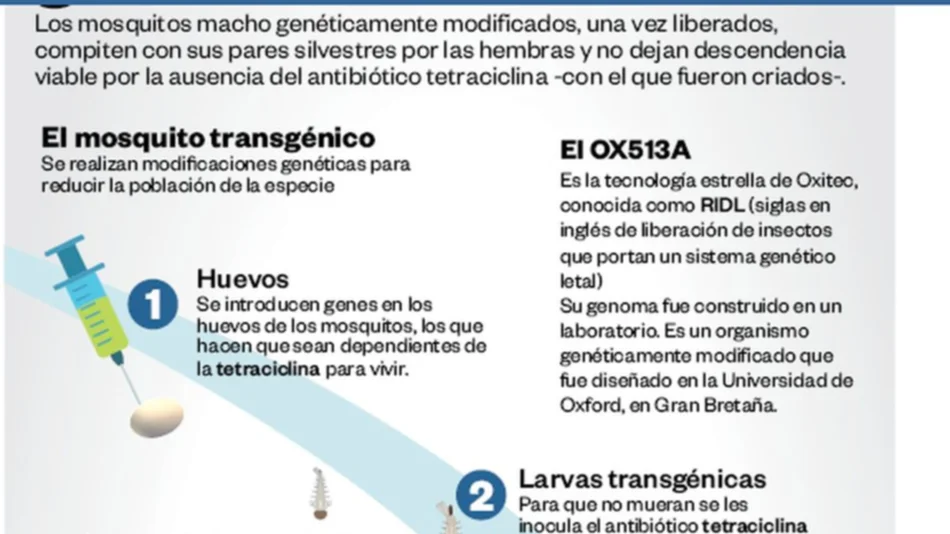 Dudas sobre el uso del  mosquito modificado
