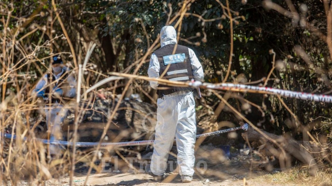 El peor final: apareció sin vida la docente e investigan un crimen brutal