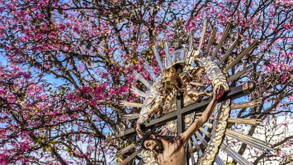 Las mejores imágenes de la procesión del Milagro 