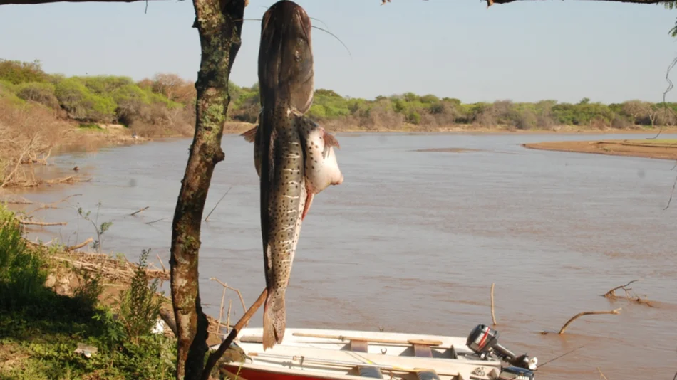 Adelantan para mañana la veda en Río Bermejo para proteger la reproducción de peces