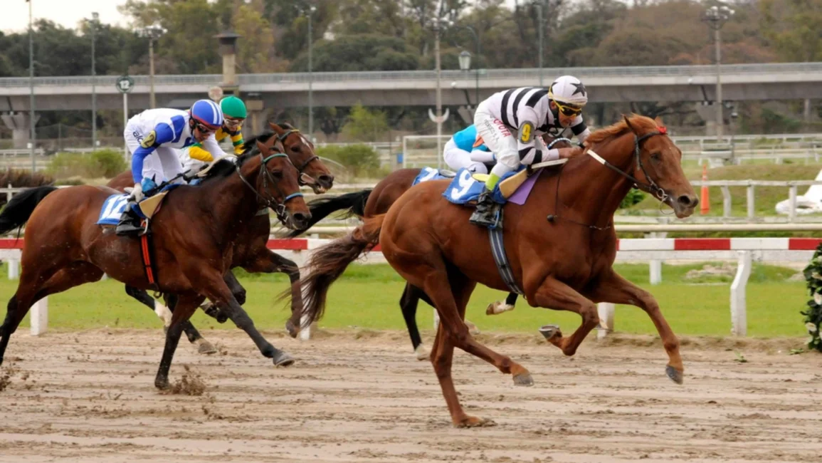 King Slew ganó en Hipódromo de Palermo