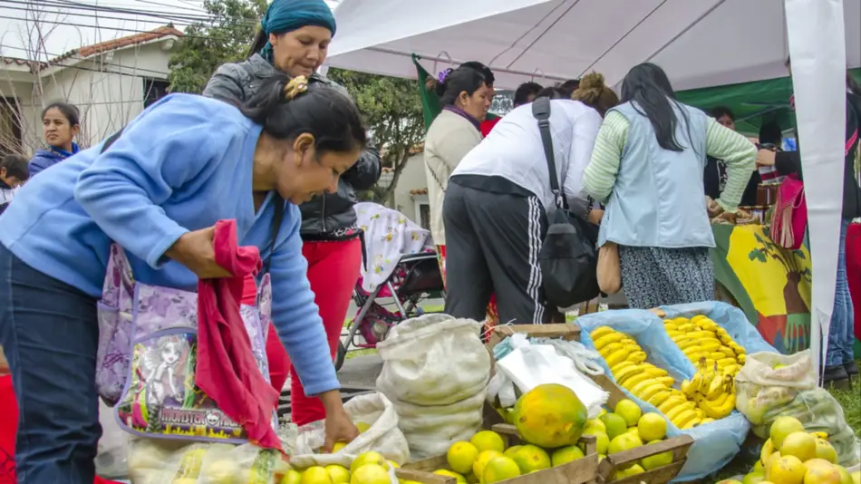 Analizaron proyectos productivos