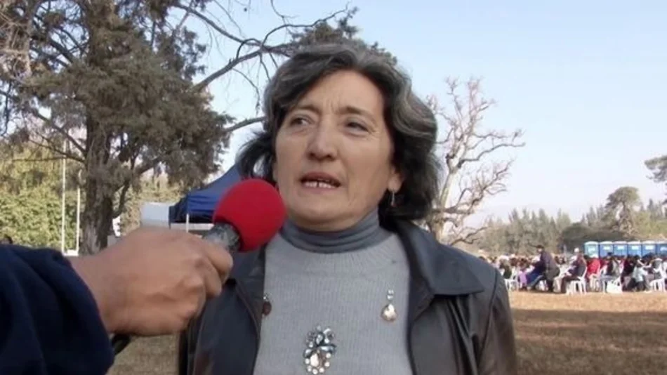 La justicia Federal se expidió y designó a Alcira Figueroa como reemplazante de Ameri