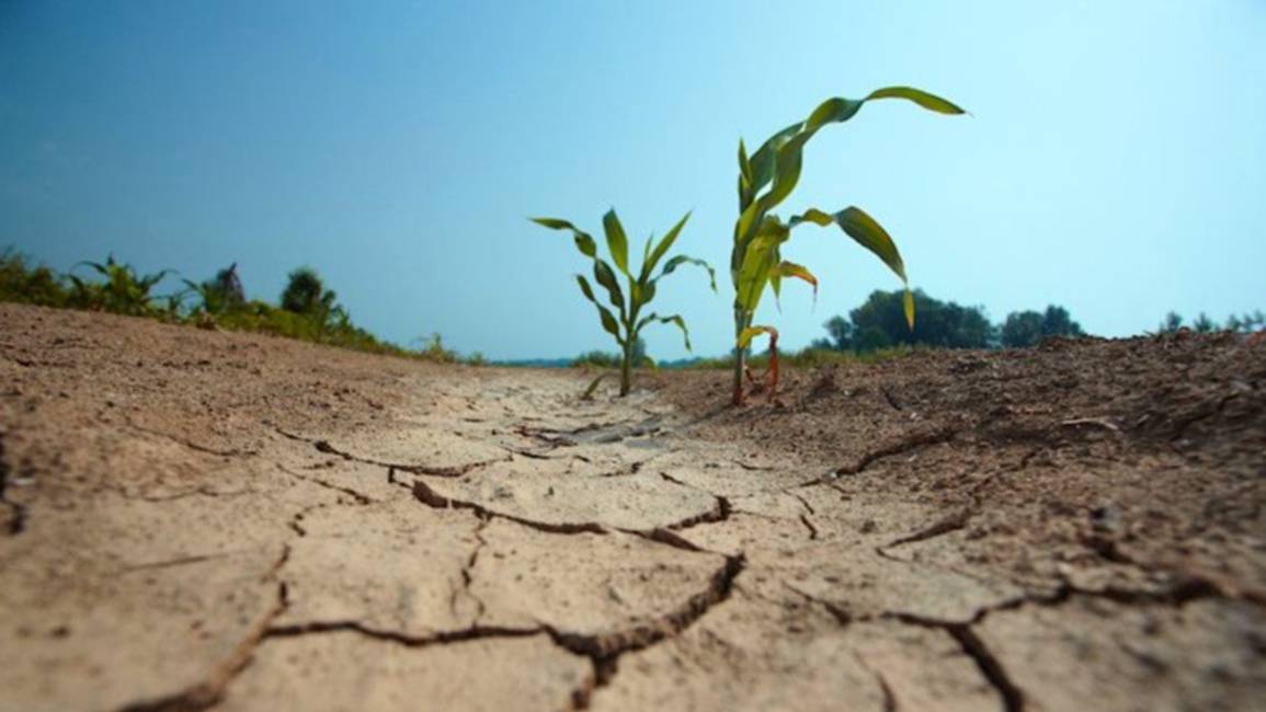 La tercera Niña consecutiva complicaría el inicio de la gruesa
