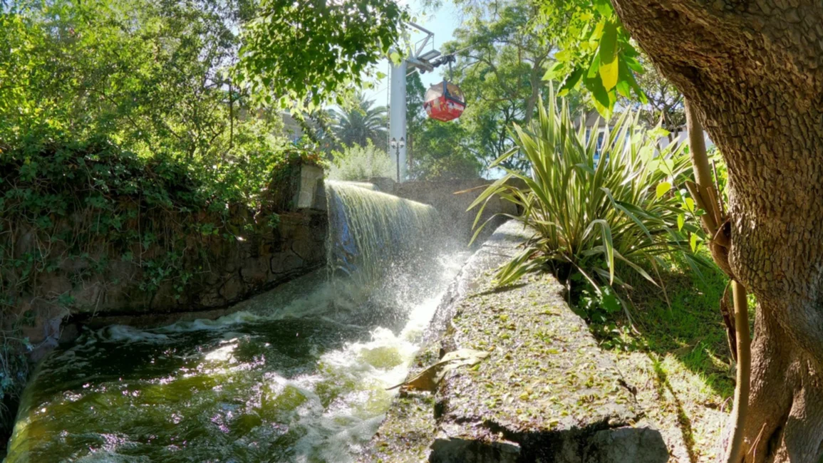  "Un desafío es la biodiversidad en los ambientes urbanos"